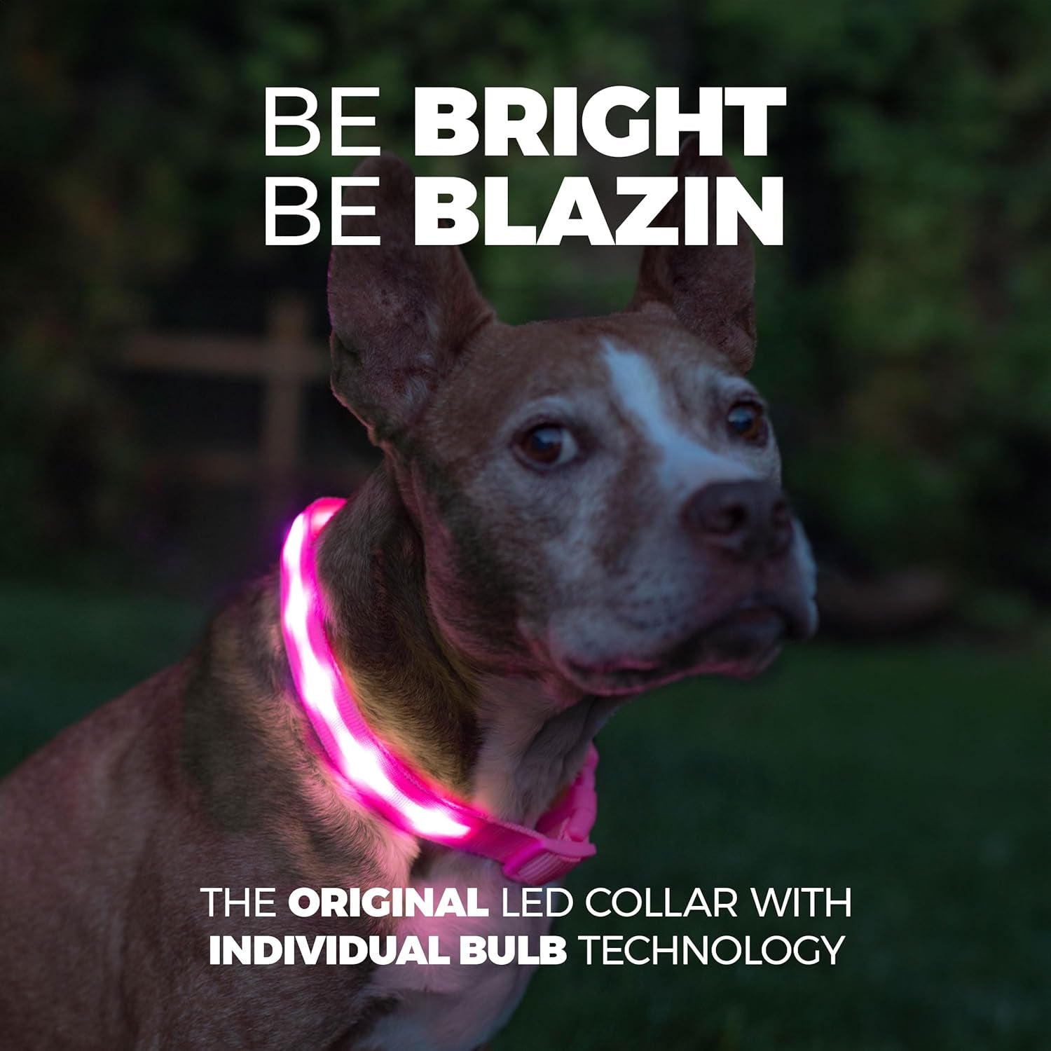 Glow-in-the-Dark Pup Bling - The Original Disco Collar for Dogs - Rechargeable, Waterproof, and Visible from Outer Space - Perfect for Posh Poodles and Chunky Chihuahuas!