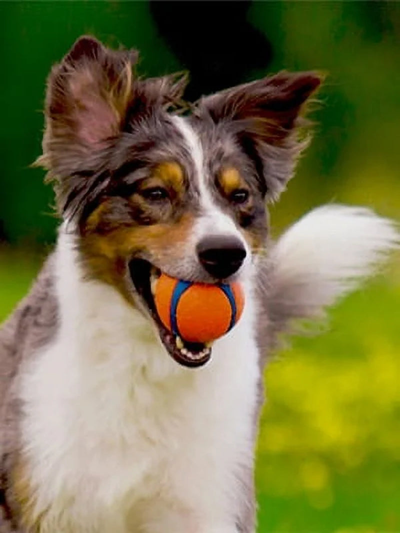 Ultra Ball Durable Rubber Fetch Dog Toy, Medium 2.5" for Medium Dogs, Pack of 2, Orange
