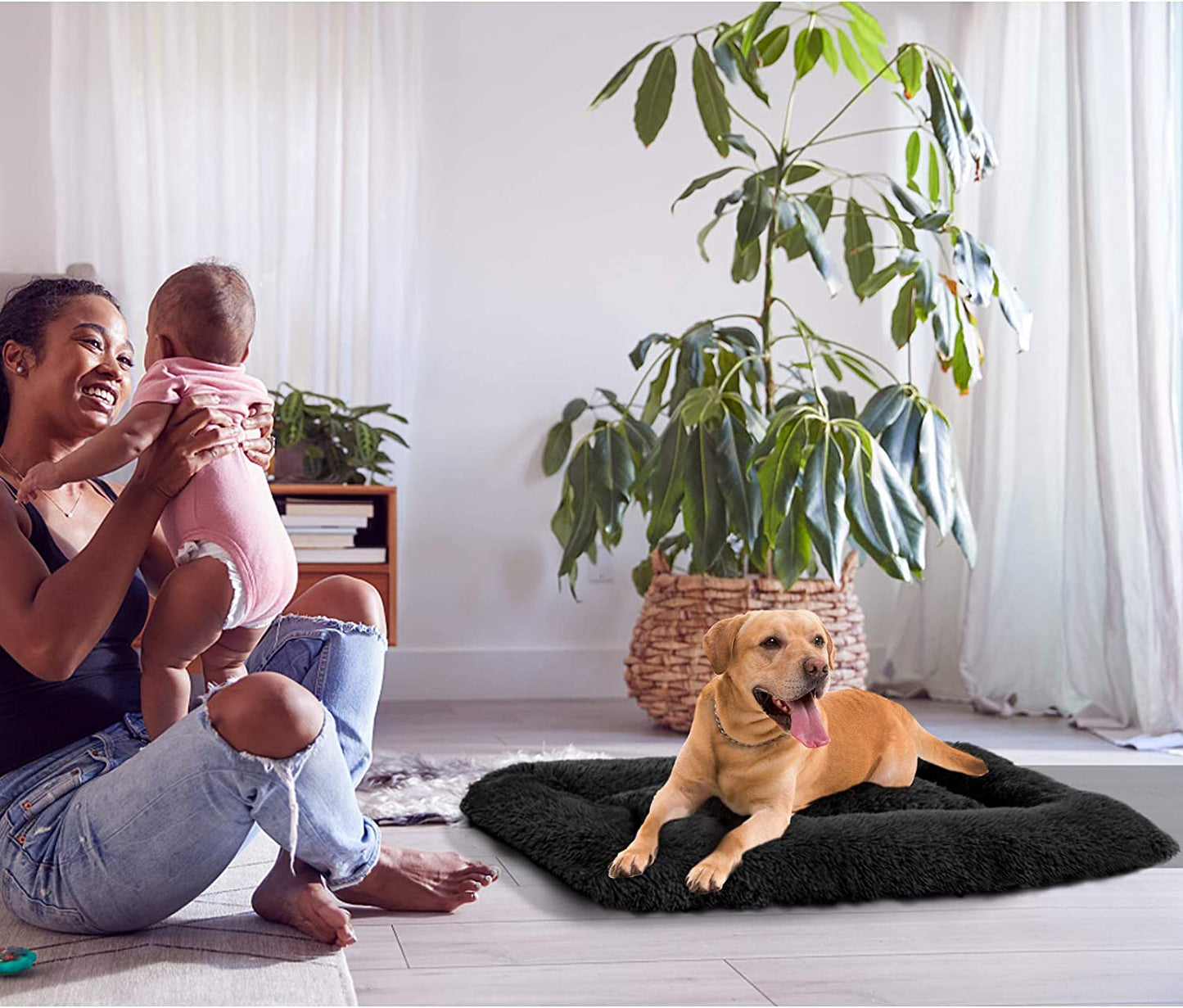 Paw-sitively Fluffy Nap Zone: The Cloud of Snooze for Your Dog’s Dreamy Adventures!