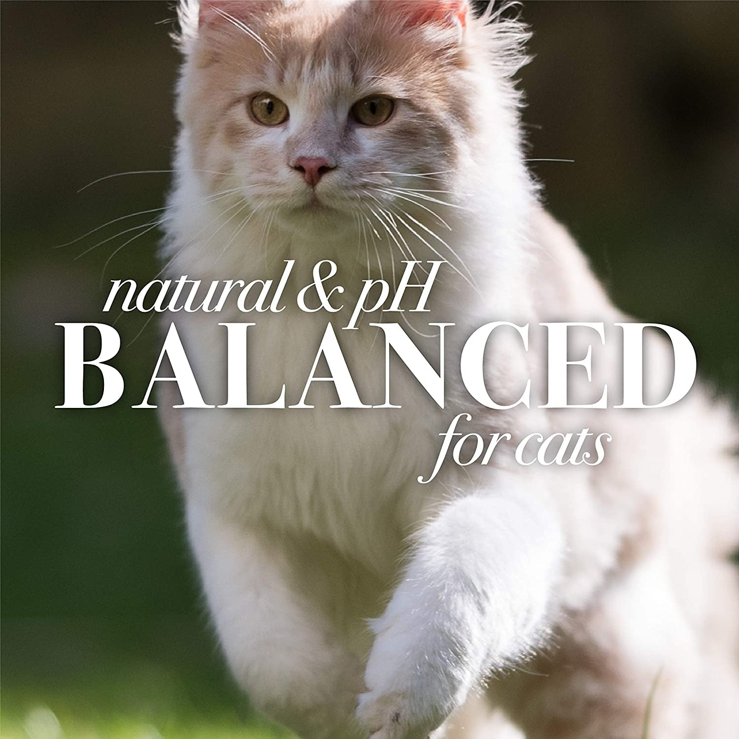 Feline Fluff-Off Wipes: The Purr-fect Solution for Sneezes and Itchy Whiskers - 50 Count of Cat Dander Vanishers!