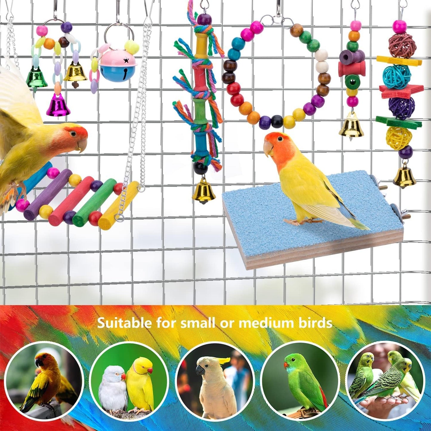 8-Pack of Fluffy Royal Ruckus: Swing, Chew, and Jingle Toys for Your Mini Feathered Divas and Dudes!