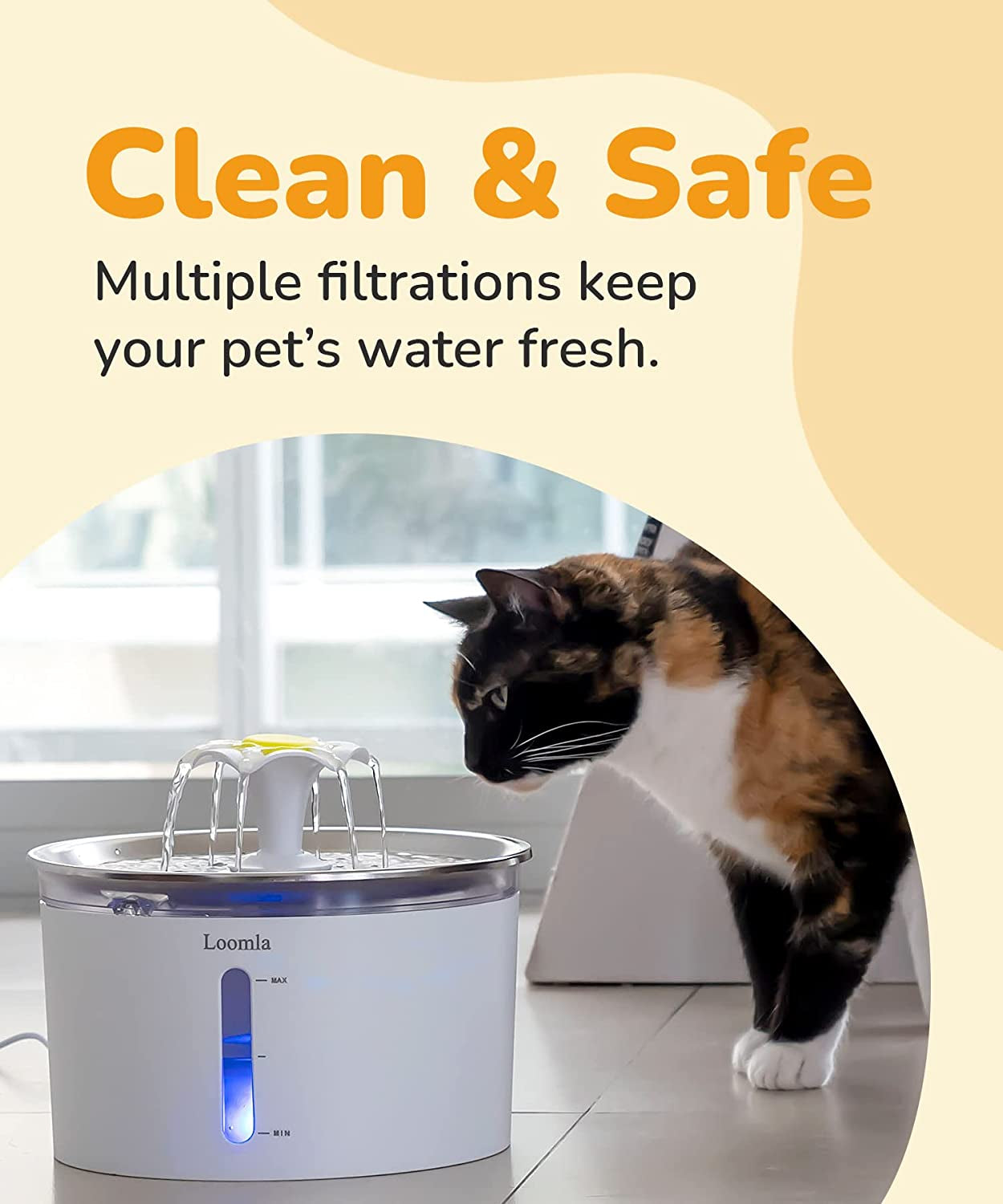 Feline Fountain of Youth: Hydration Station for Paws and Claws with LED Disco Lights and Bonus Filters for Your Thirsty Furballs!