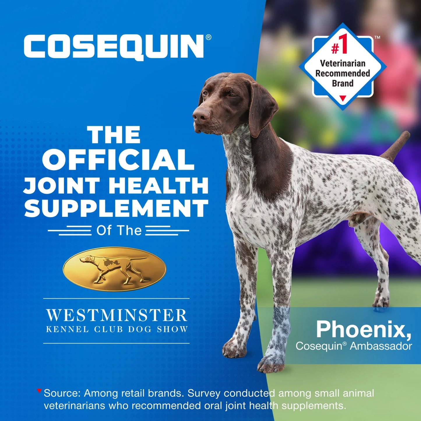 Nutramax Cosequin for Dogs Joint Health Supplement, Chewable Tablets, 60 Count