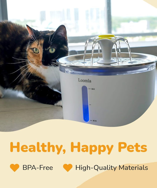 Feline Fountain of Youth: Hydration Station for Paws and Claws with LED Disco Lights and Bonus Filters for Your Thirsty Furballs!