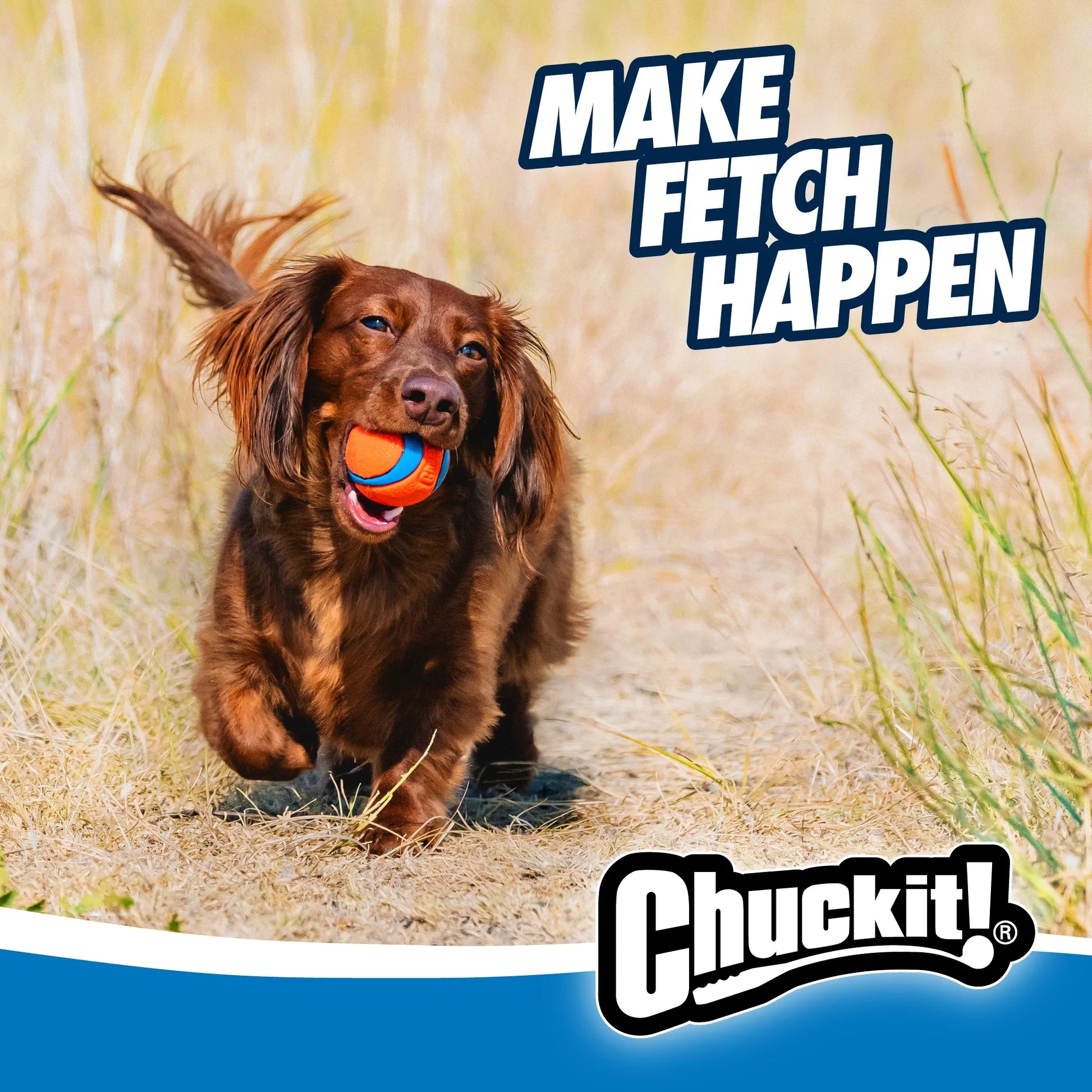 Ultra Ball Rubber Fetch Dog Toy, Small for Dogs up to 20 Lb, Pack of 2, Multcolor