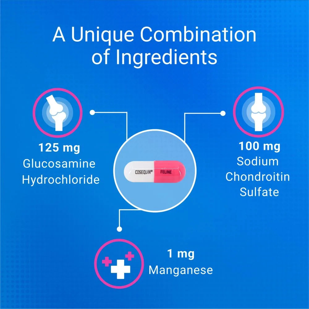 Nutramax Cosequin for Cats Joint Health Supplement, Contains Glucosamine for Cats, plus Chondroitin, and Omega-3S, Supports Joint and Skin and Coat Health, for All Sizes, 80 Sprinkle Capsules