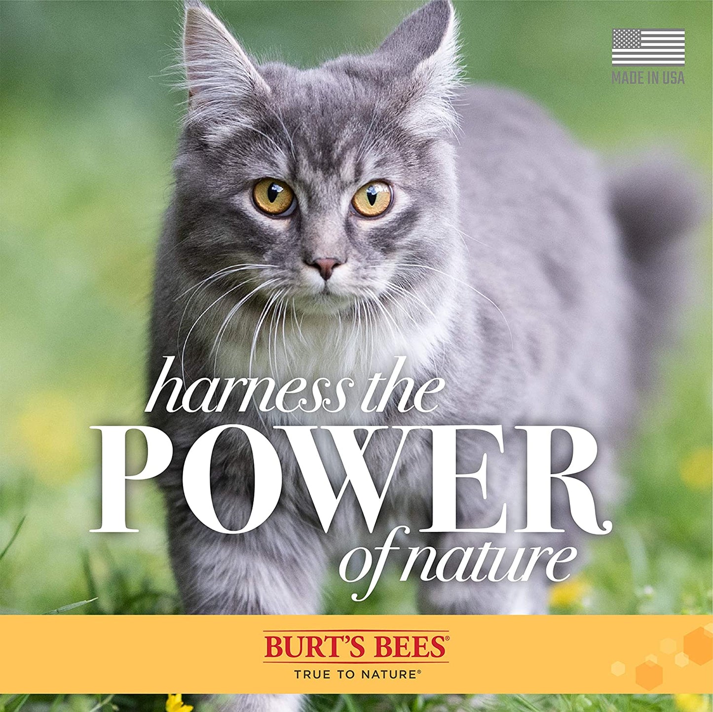 Feline Fluff-Off Wipes: The Purr-fect Solution for Sneezes and Itchy Whiskers - 50 Count of Cat Dander Vanishers!