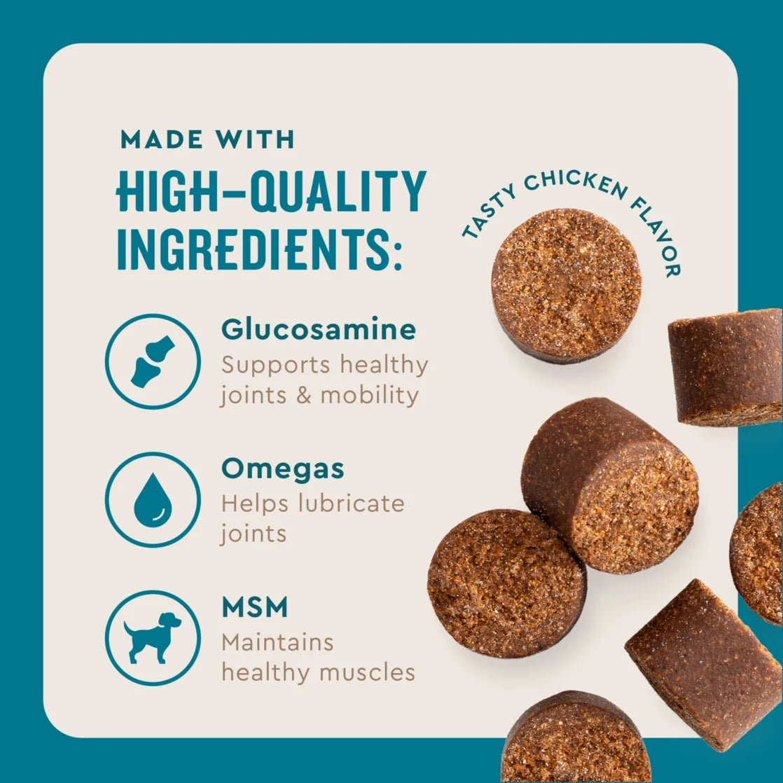Hip & Joint Supplement for Dogs, Chicken Flavored Soft Chews, 60 Count Soft Chews