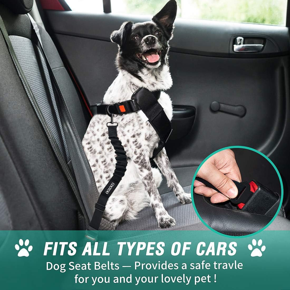 Bark and Buckle Up: The Paw-some Pup-tective Harness for Canine Co-Pilots Who Demand Safety and Sass!