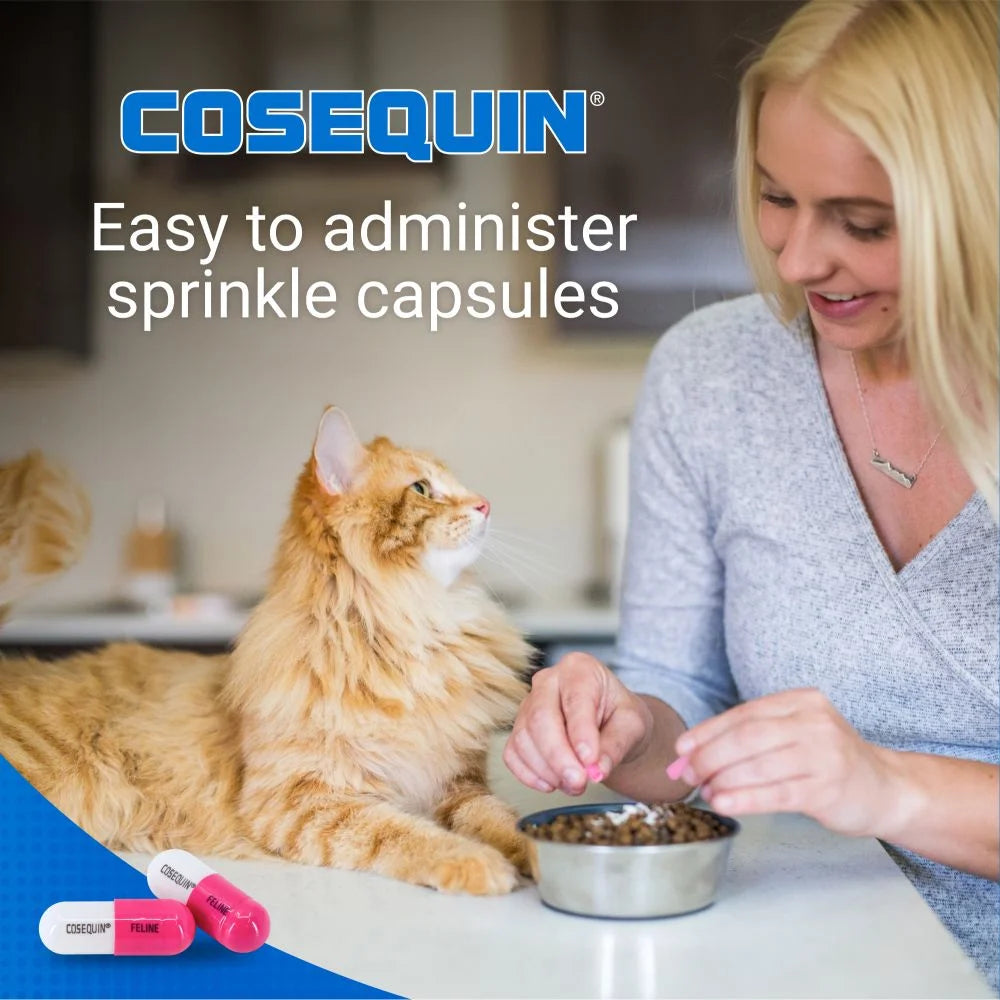 Nutramax Cosequin for Cats Joint Health Supplement, Contains Glucosamine for Cats, plus Chondroitin, and Omega-3S, Supports Joint and Skin and Coat Health, for All Sizes, 80 Sprinkle Capsules