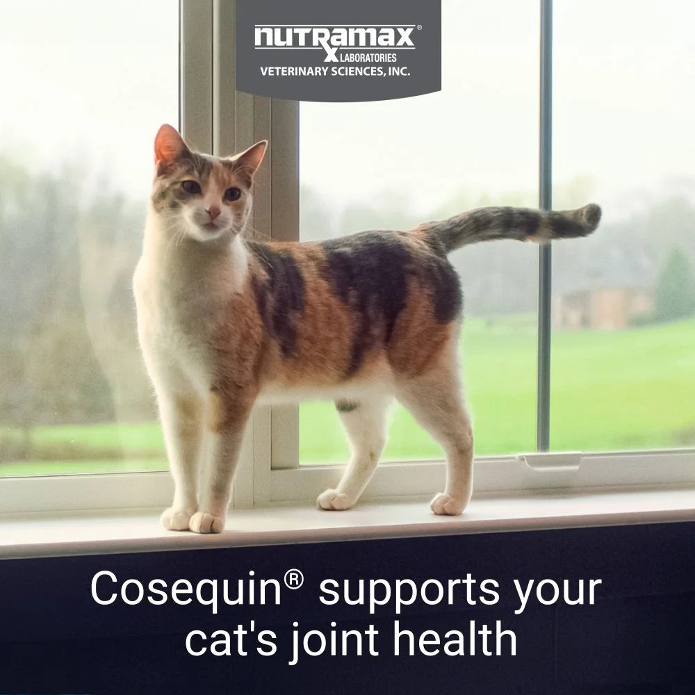 Nutramax Cosequin for Cats Joint Health Supplement, Contains Glucosamine for Cats, plus Chondroitin, and Omega-3S, Supports Joint and Skin and Coat Health, for All Sizes, 80 Sprinkle Capsules