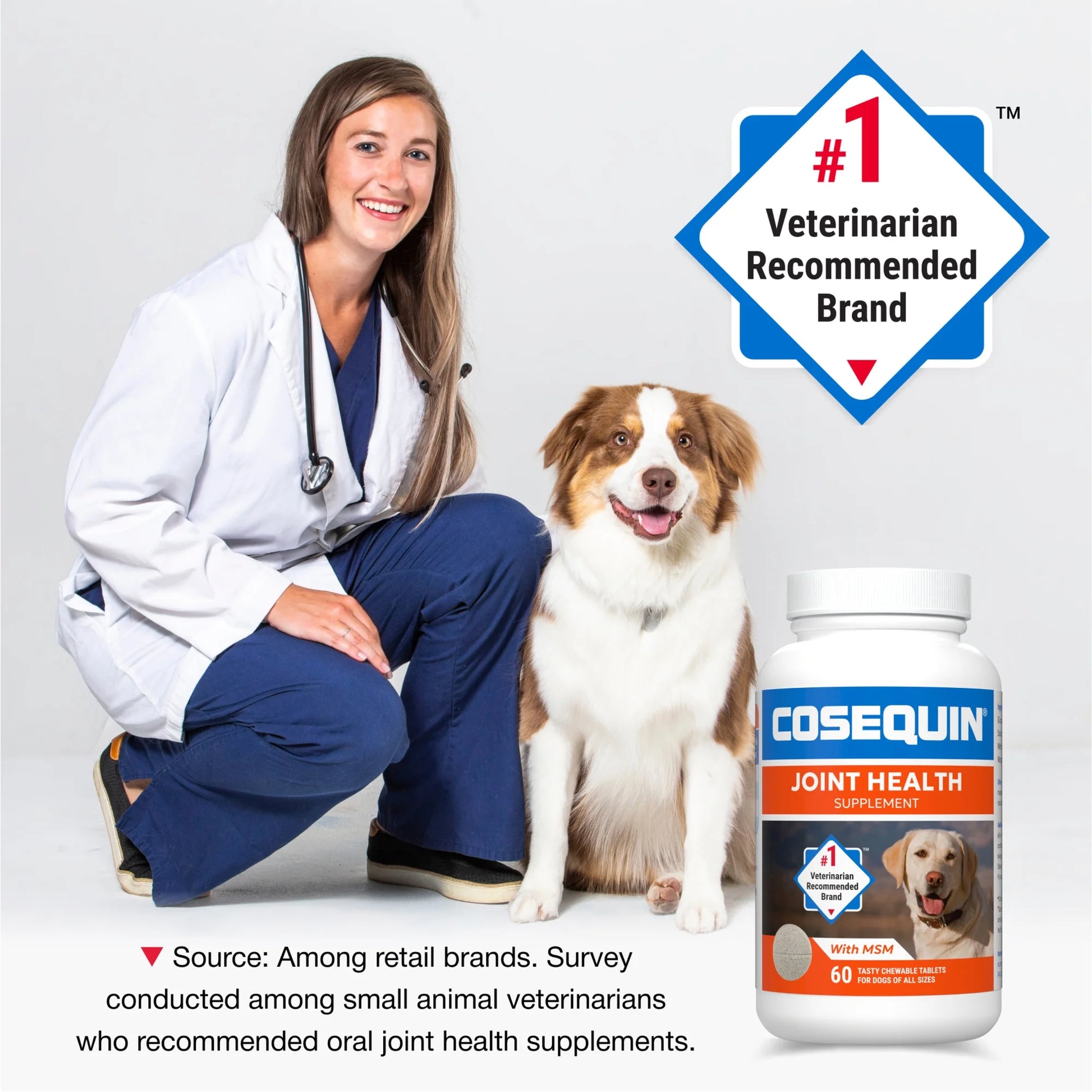 Nutramax Cosequin for Dogs Joint Health Supplement, Chewable Tablets, 60 Count