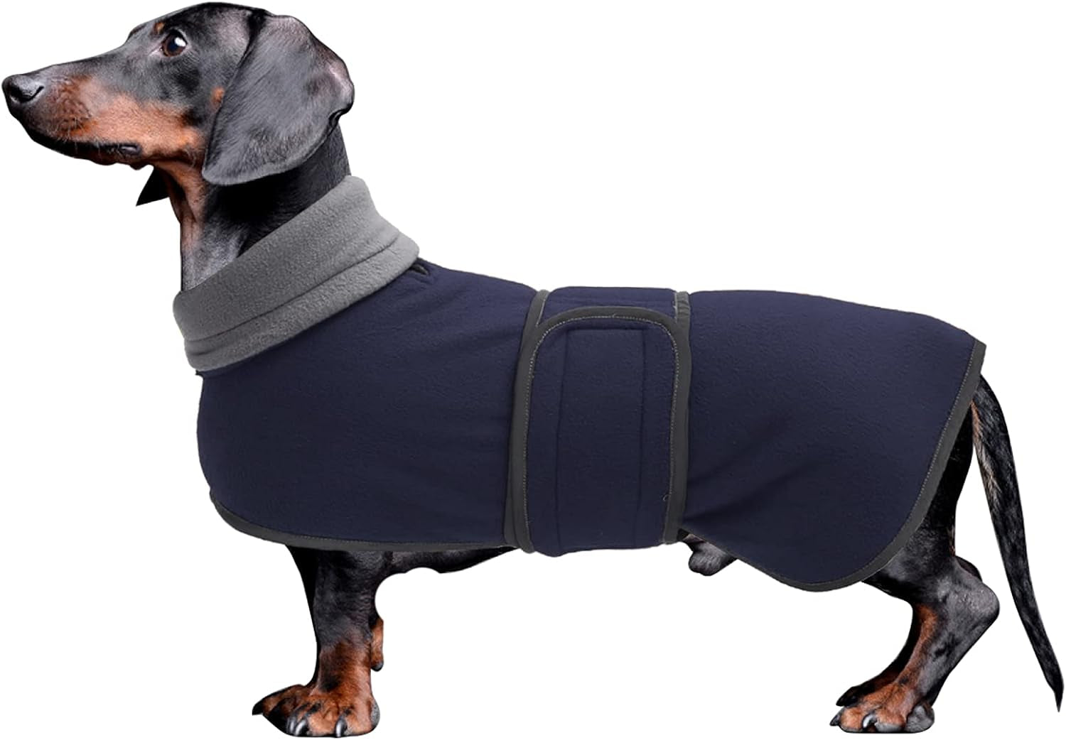 Dachshund Coats Sausage Dog Fleece Coat in Winter Miniature Dachshund Clothes with Hook and Loop Closure and High Vis Reflective Trim Safety - Navy - L