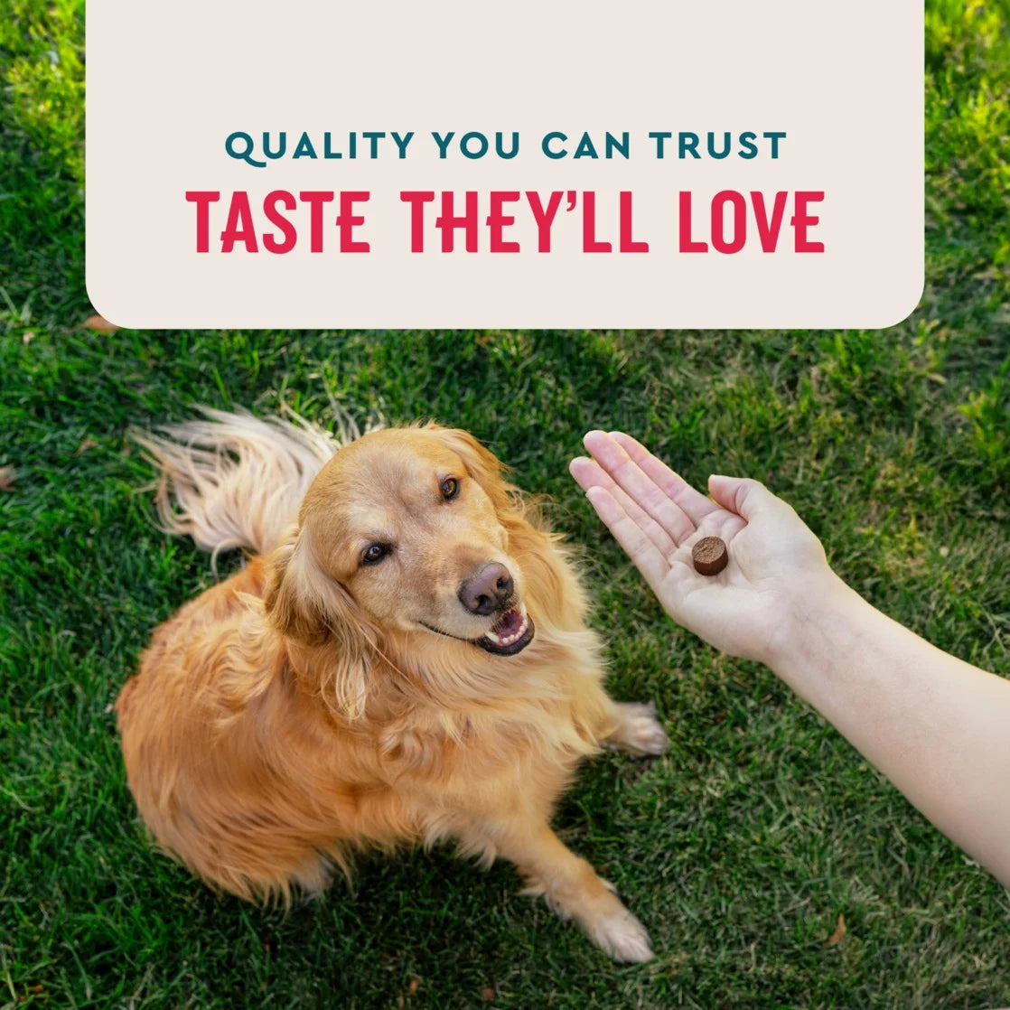 8-In-1 Multifunctional Dog Chew