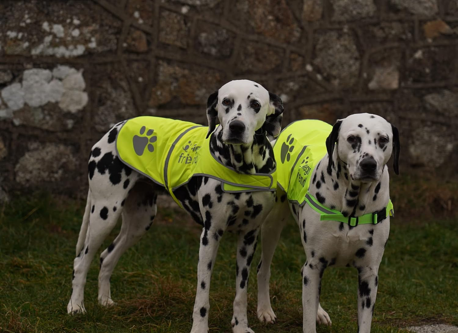 Safety Reflective Vest for Dogs - High Visibility for Outdoor Activity Day and Night, Protect Your Pet from Cars & Hunting Accidents