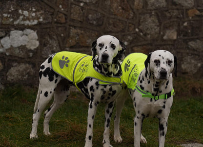 Safety Reflective Vest for Dogs - High Visibility for Outdoor Activity Day and Night, Protect Your Pet from Cars & Hunting Accidents