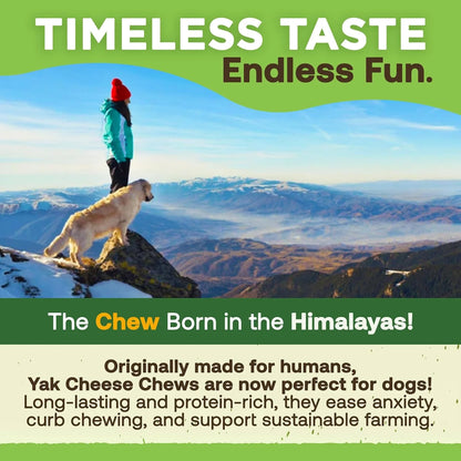Yak Milk Dog Chews for Large Dogs, Yak Stick Dog Treats, Himalayan Dog Chews, 1 Lb Bag