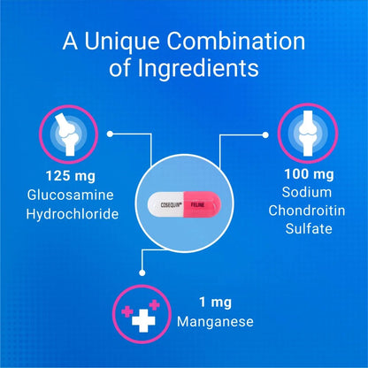 Nutramax Cosequin for Cats Joint Health Supplement, Contains Glucosamine for Cats, plus Chondroitin, and Omega-3S, Supports Joint and Skin and Coat Health, for All Sizes, 80 Sprinkle Capsules