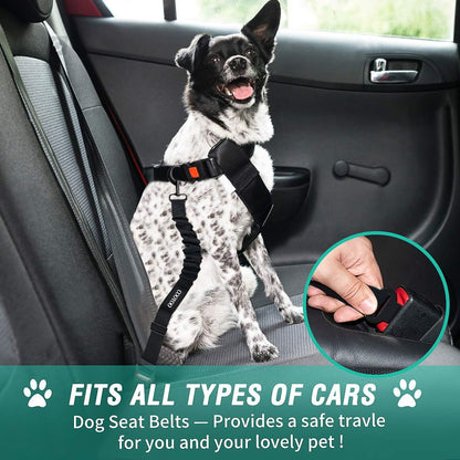 Bark and Buckle Up: The Paw-some Pup-tective Harness for Canine Co-Pilots Who Demand Safety and Sass!