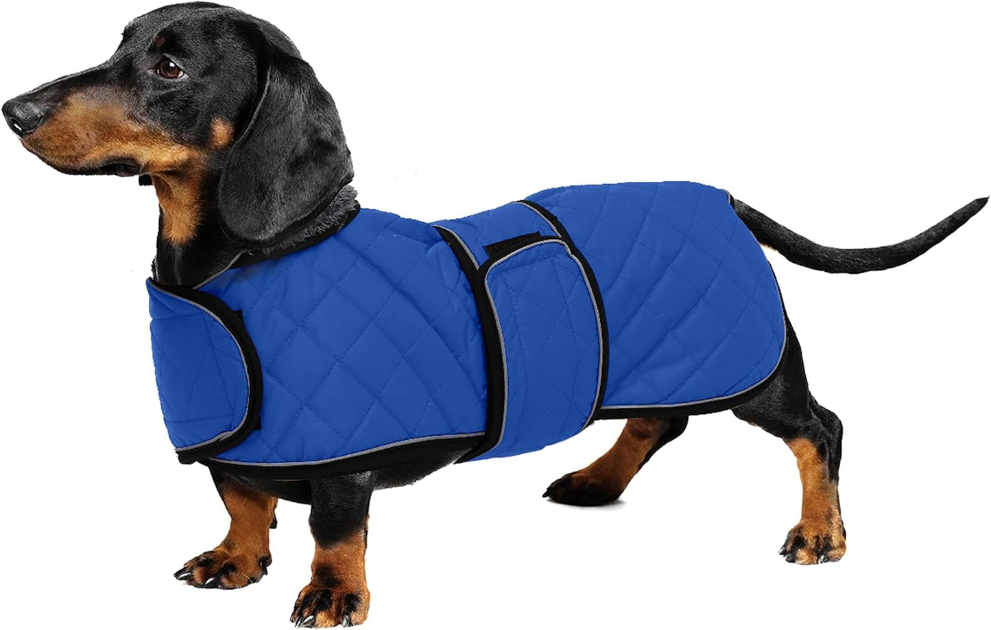 Dachshund Snuggie: The Ultimate Winter Reflective Coat For Your Doggo