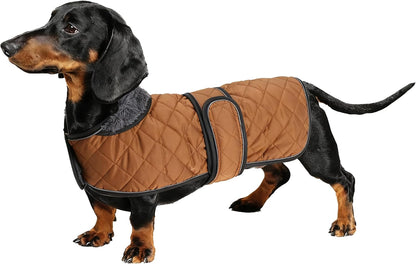 Dachshund Snuggie: The Ultimate Winter Reflective Coat For Your Doggo
