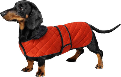 Dachshund Snuggie: The Ultimate Winter Reflective Coat For Your Doggo