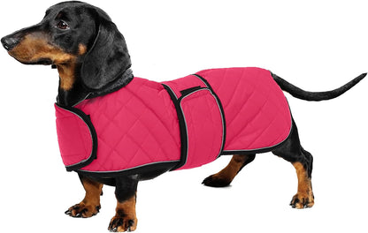 Dachshund Snuggie: The Ultimate Winter Reflective Coat For Your Doggo