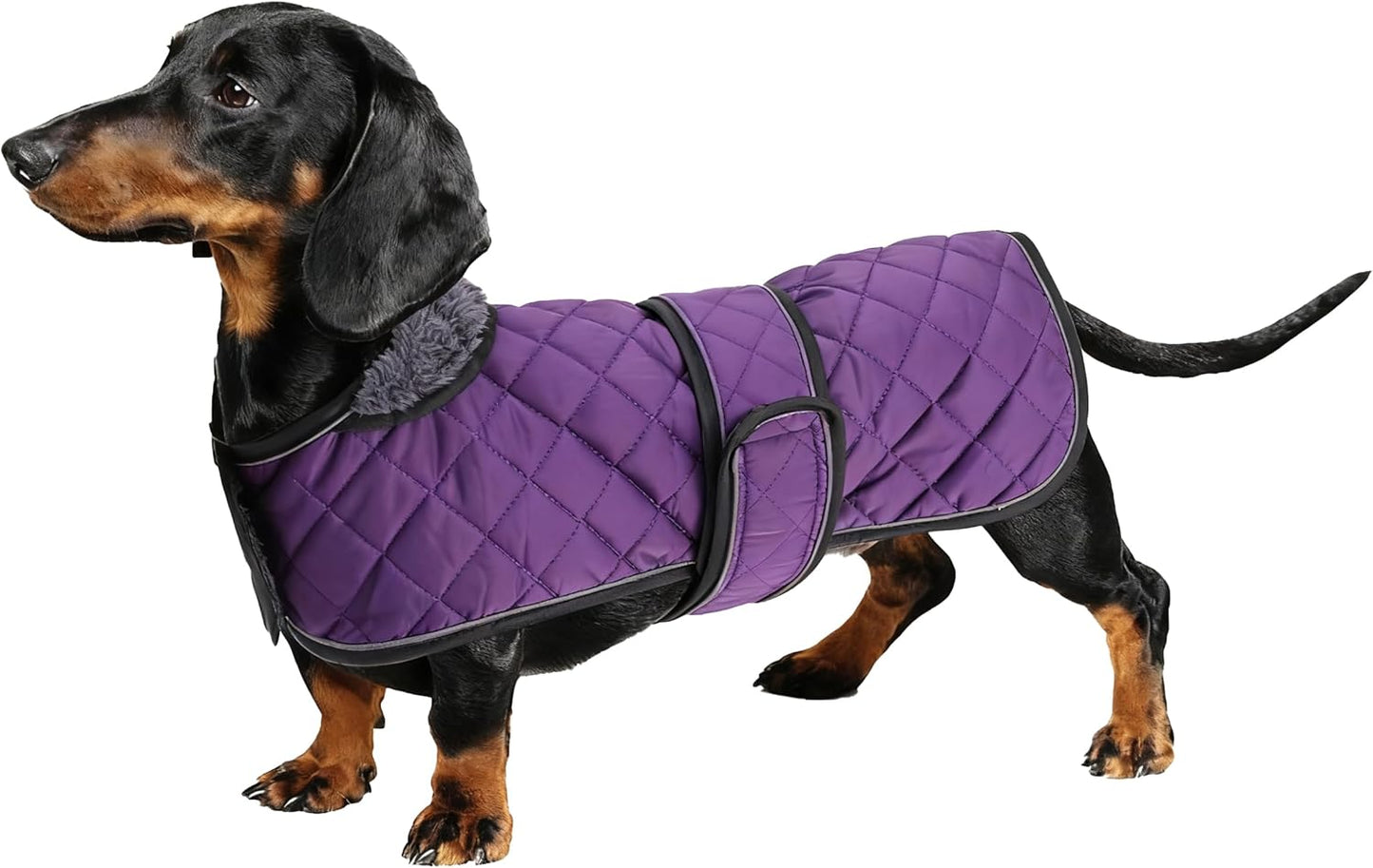 Dachshund Snuggie: The Ultimate Winter Reflective Coat For Your Doggo