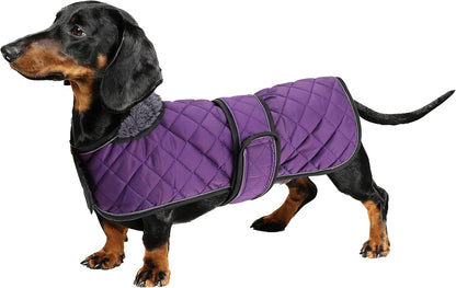 Dachshund Snuggie: The Ultimate Winter Reflective Coat For Your Doggo