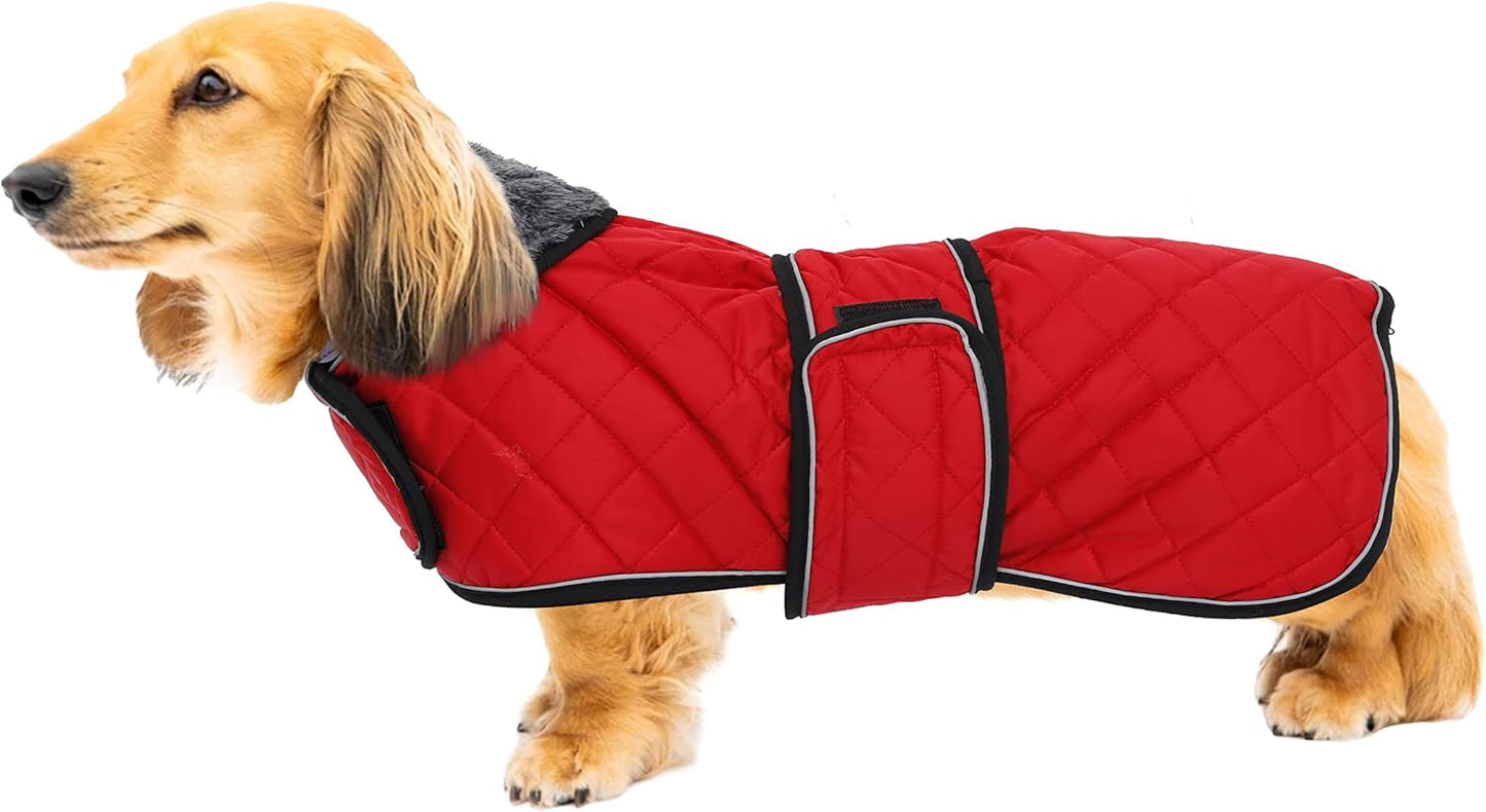 Dachshund Snuggie: The Ultimate Winter Reflective Coat For Your Doggo