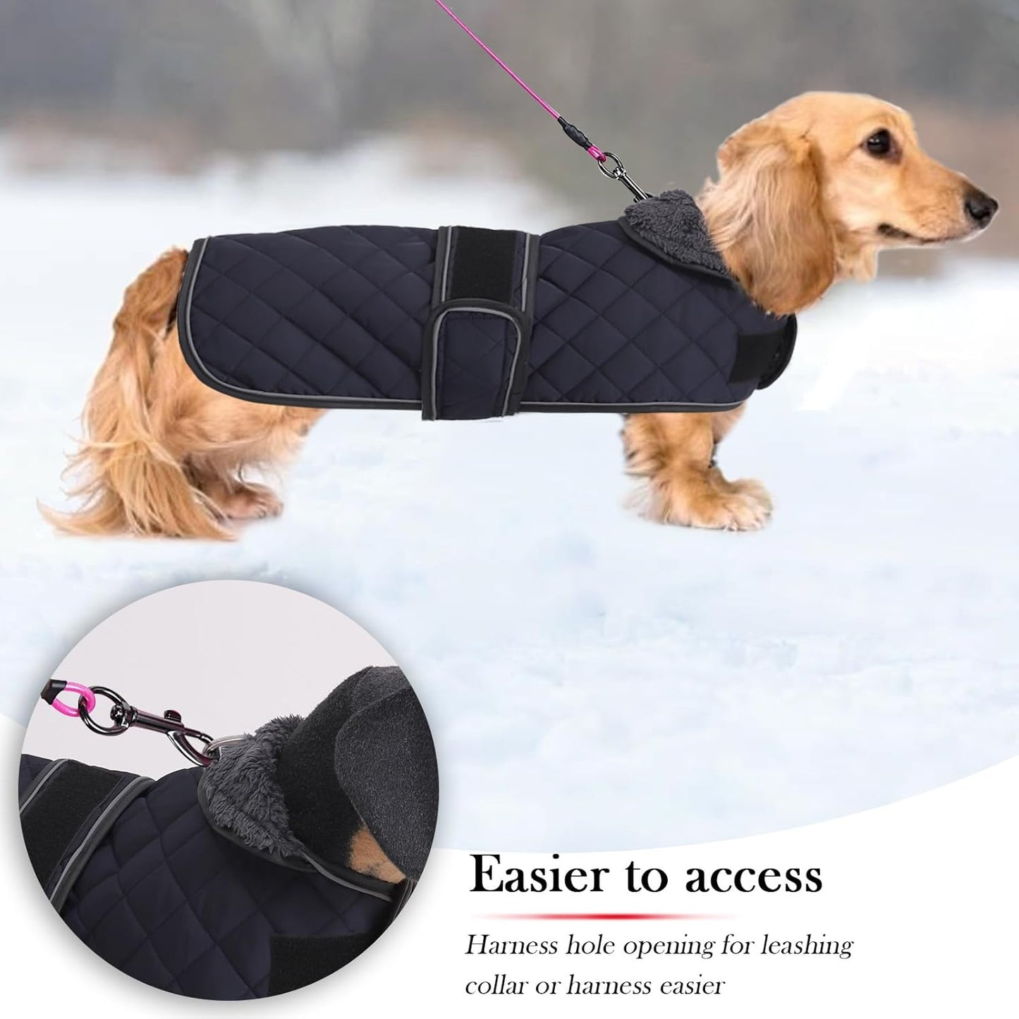 Dachshund Snuggie: The Ultimate Winter Fashion for Your Long Doggo, Complete with Fleecey Cuddles and Adjustable Snuggliness in Deep Blue - Size M