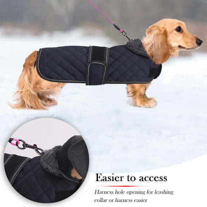 Dachshund Snuggie: The Ultimate Winter Fashion for Your Long Doggo, Complete with Fleecey Cuddles and Adjustable Snuggliness in Deep Blue - Size M
