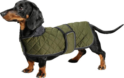 Dachshund Snuggie: The Ultimate Winter Reflective Coat For Your Doggo