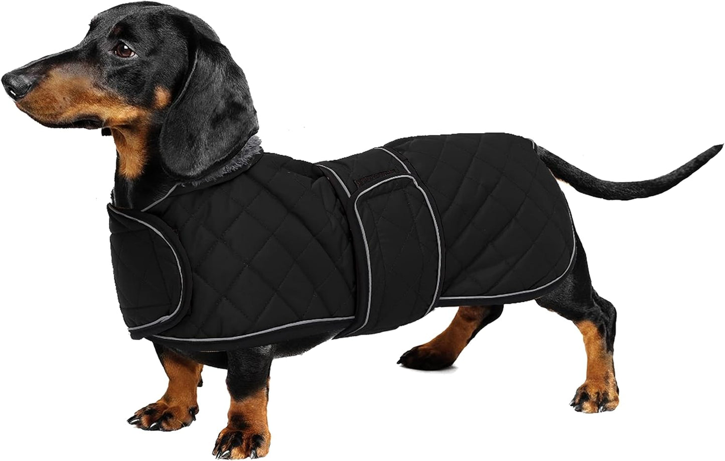 Dachshund Snuggie: The Ultimate Winter Reflective Coat For Your Doggo