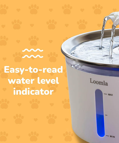 Feline Fountain of Youth: Hydration Station for Paws and Claws with LED Disco Lights and Bonus Filters for Your Thirsty Furballs!