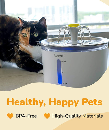Feline Fountain of Youth: Hydration Station for Paws and Claws with LED Disco Lights and Bonus Filters for Your Thirsty Furballs!