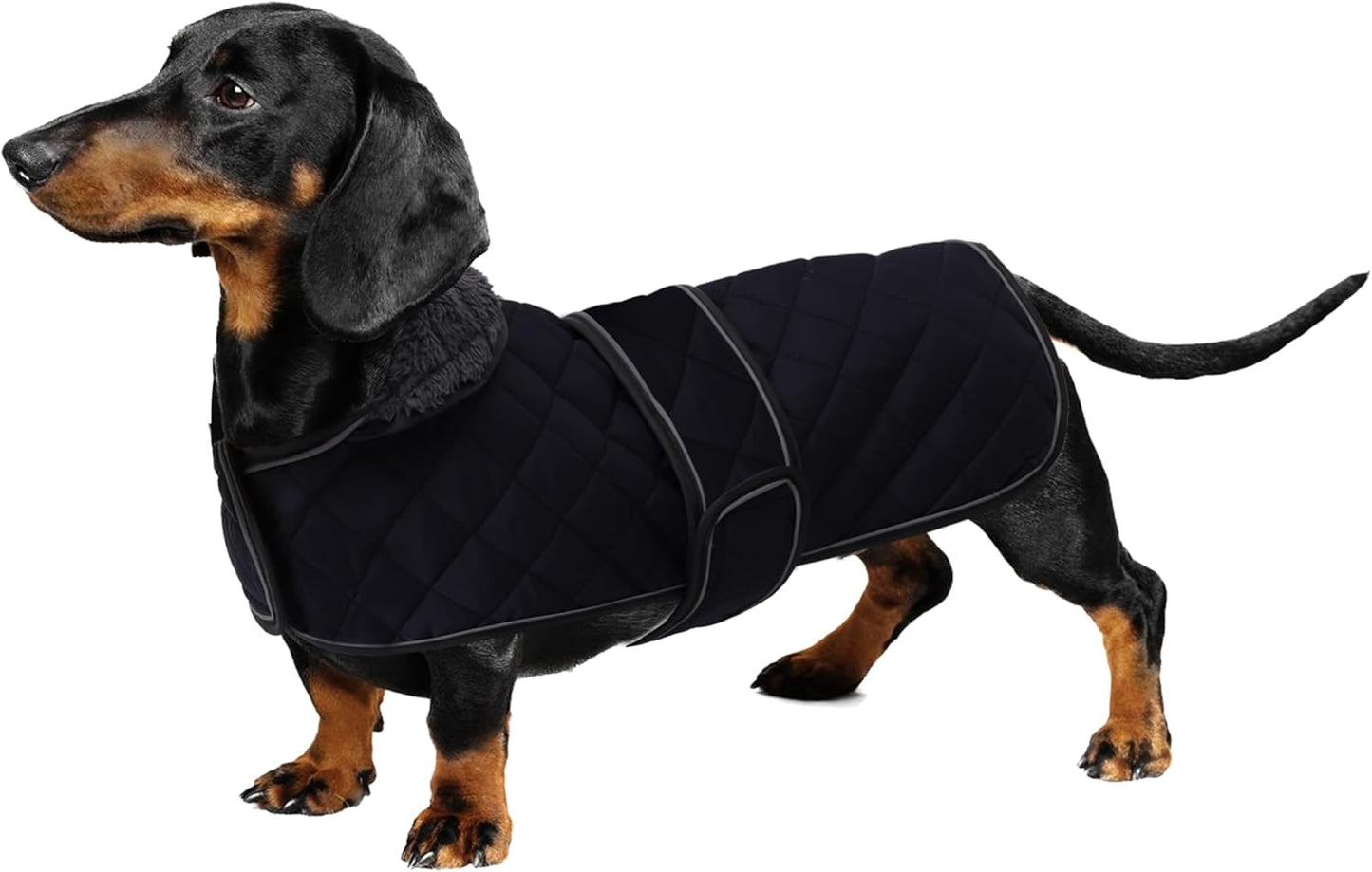 Dachshund Snuggie: The Ultimate Winter Fashion for Your Long Doggo, Complete with Fleecey Cuddles and Adjustable Snuggliness in Deep Blue - Size M